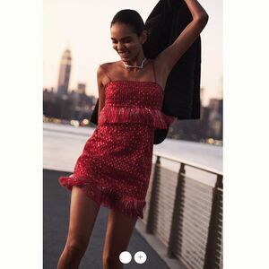 Anthropologie Saylor Caitriona Sequin Fringe Mini Dress